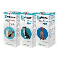 Zylkene Nutritional Supplement for Dogs and Cats